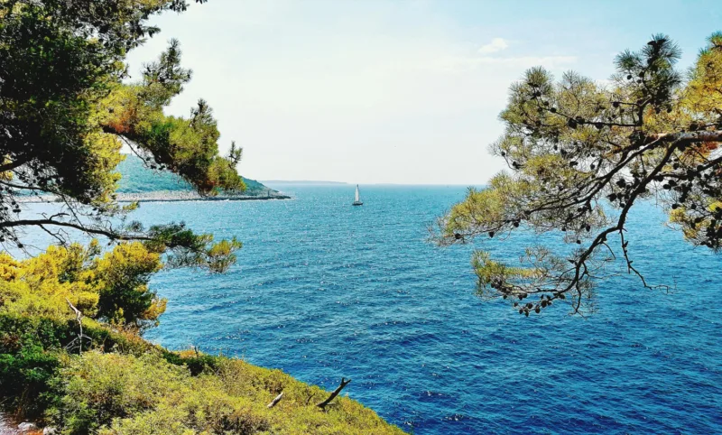 Jadran freepik