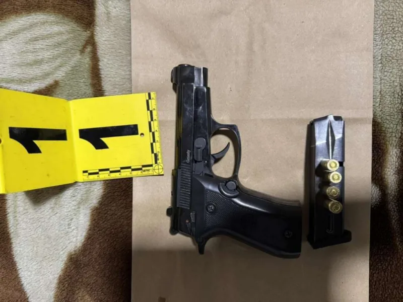Pistolj sarajevo12