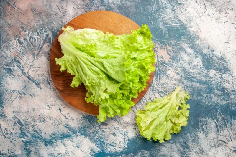 zelena salata freepik