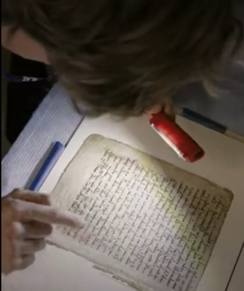 Codex Climaci Rescriptus
