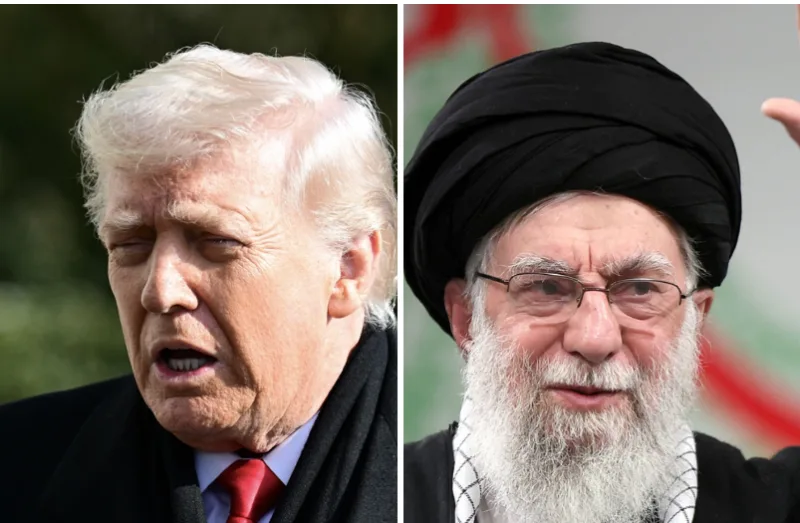 Trump hamnei 1