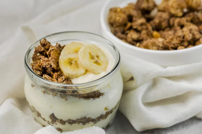 Panna cota joghurt 1