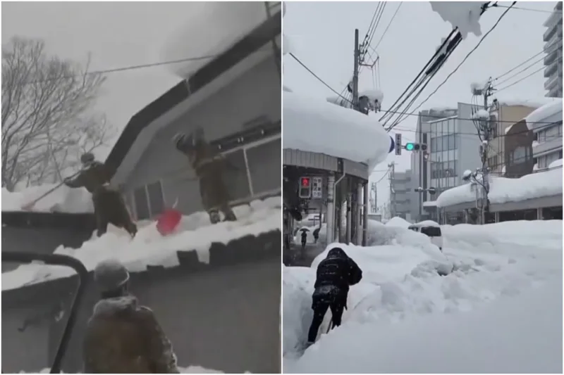 Snijeg japan