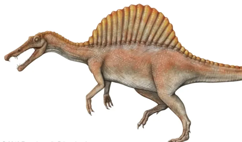 Spinosaurus