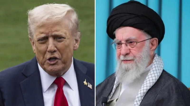 Trump hamnei