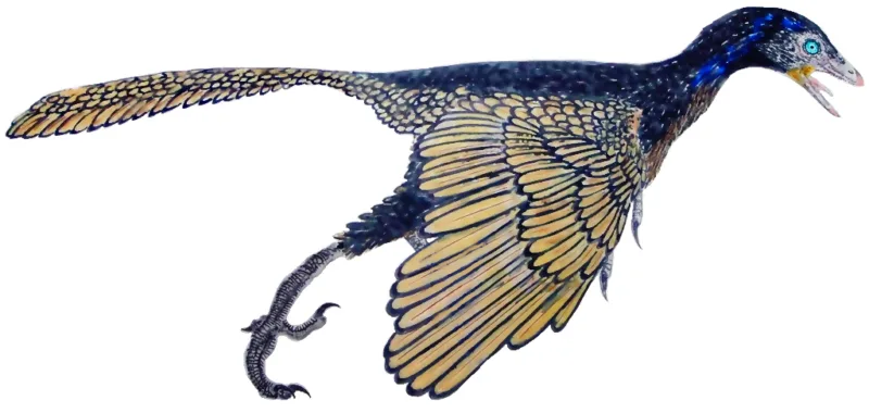 Arheopteriks