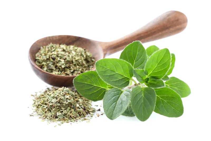 Origano freepik