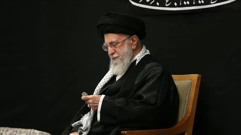 Ali hamnei aa