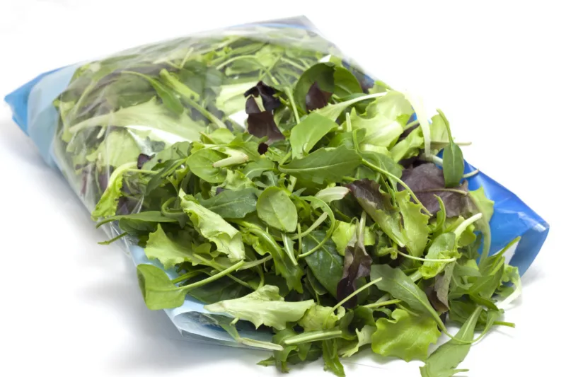 Salata freepik