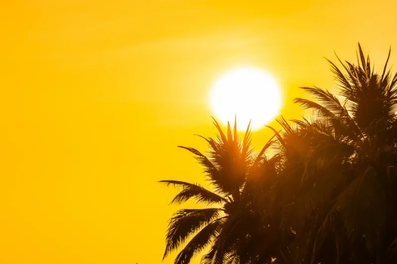 vrućina sunce freepik