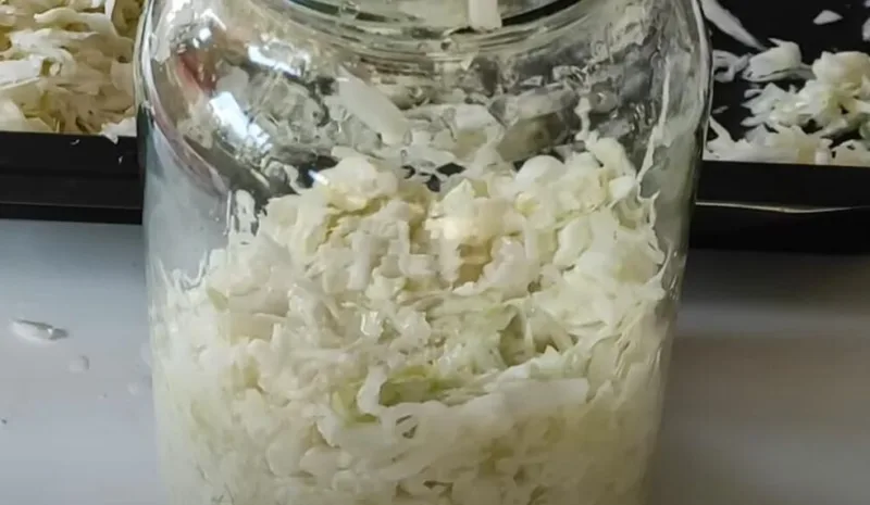 kiseli  kupus yt