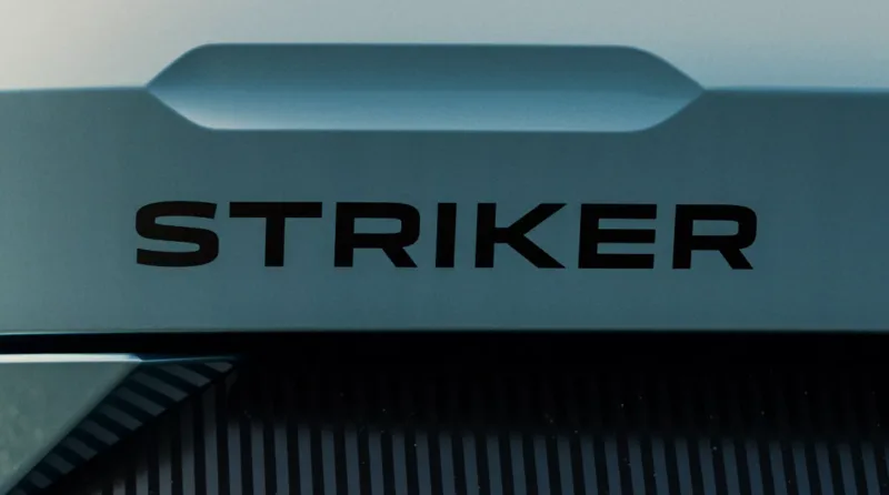 Striker