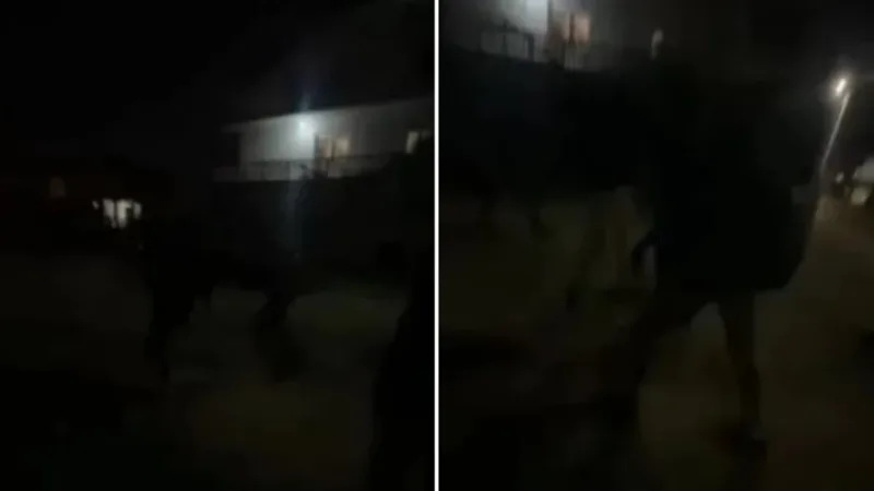Napad teravija