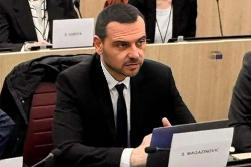Magazinovic