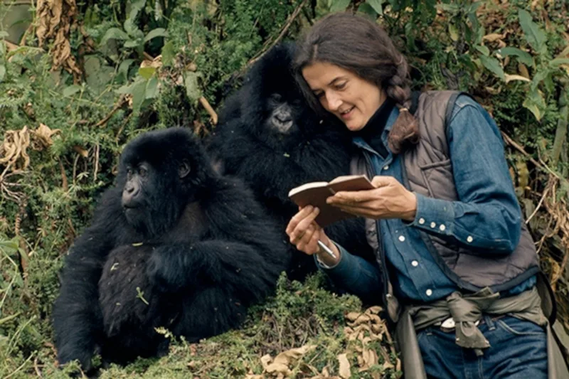 Dian fossey
