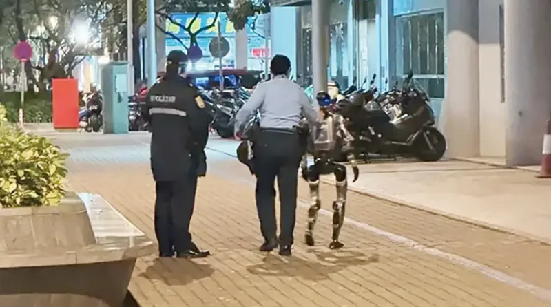 makao robot