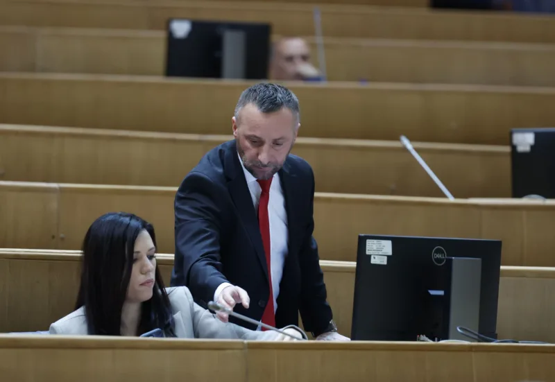 Milorad kojic sanja vulic fena