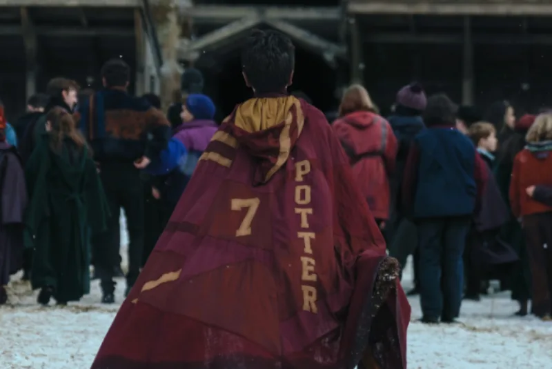 Harry potter