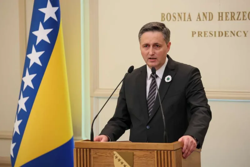 Becirovic fena