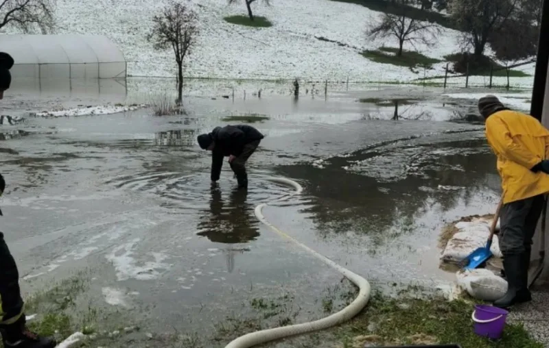 Poplave srebrenik