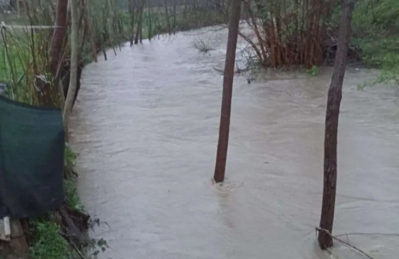 Poplave 4