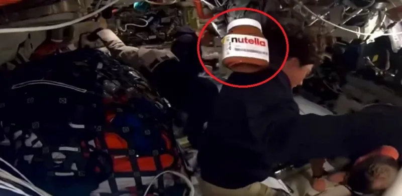 Nutella artemis1