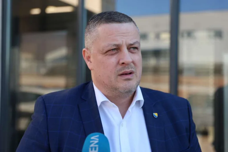Mijatovic fena