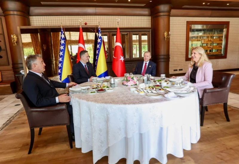 P Bi H Erdogan 4