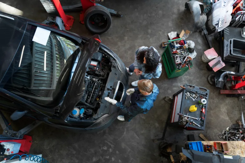 Servis freepik