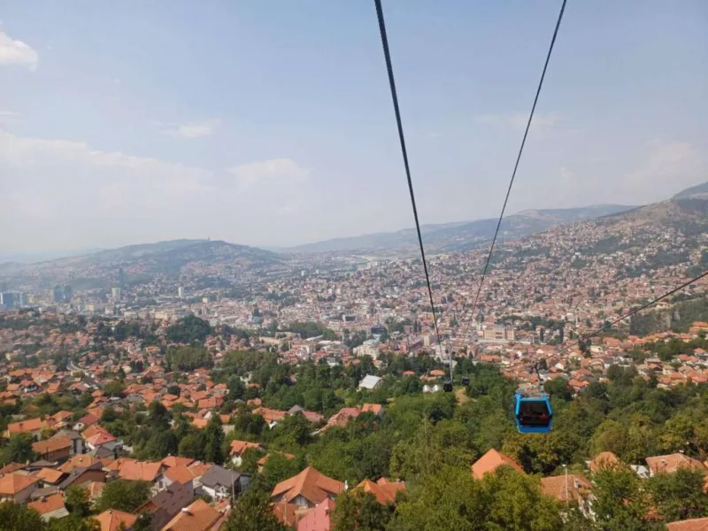 Sarajevska zicara fena