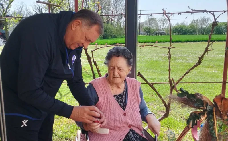 Dodik majka