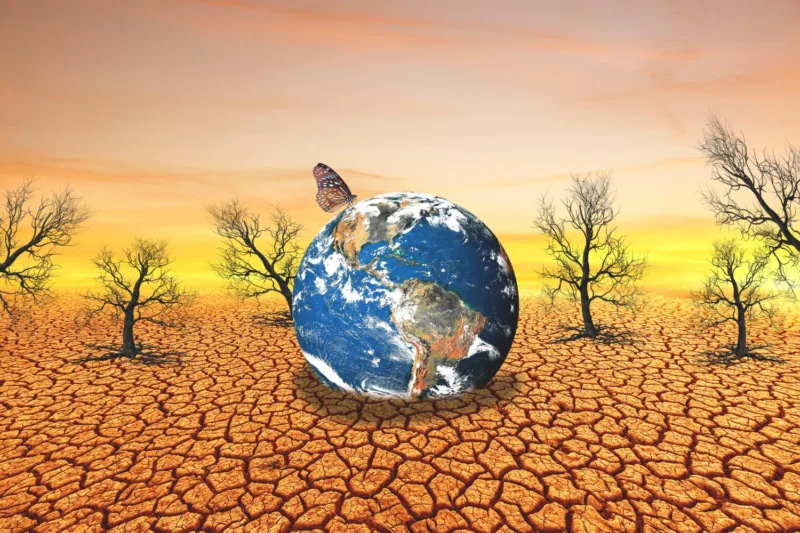 El nino freepik