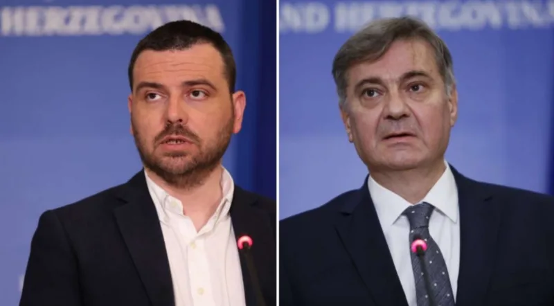 Magazinovic zvizdic fena