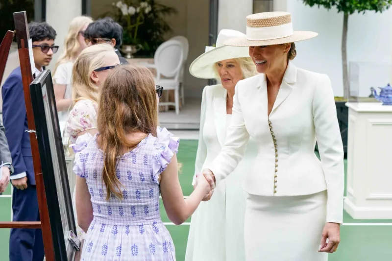 Melania camilla pixel