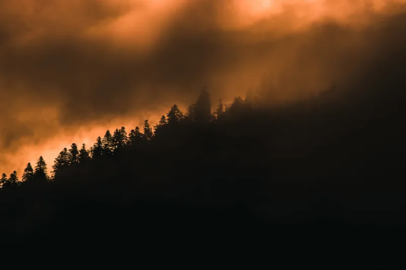 šumski požar freepik