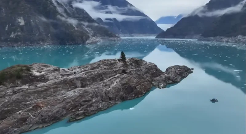 Fjord Tracy Arm