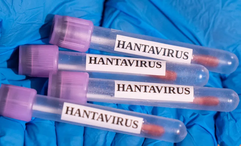 AA 20260507 41310512 41310505 HANTAVIRUS