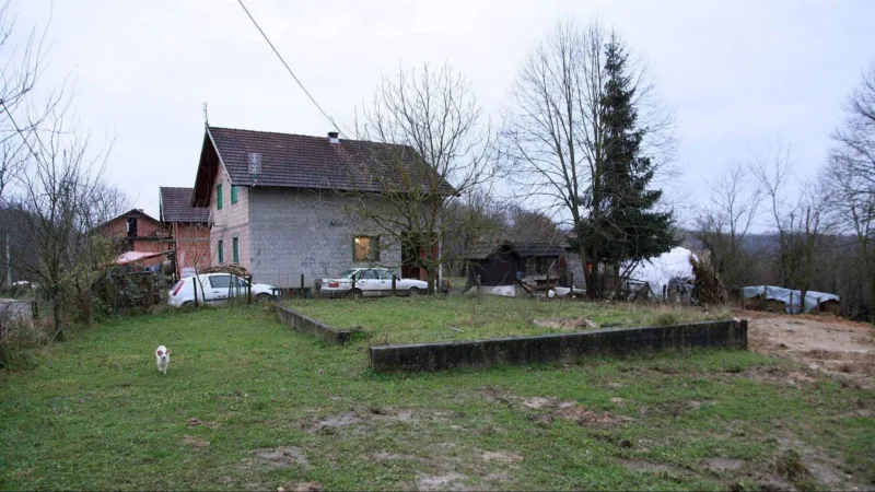 Zecovi detektor