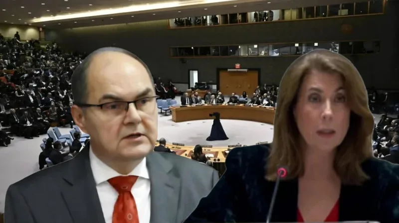 Schmidt i ambasadorica