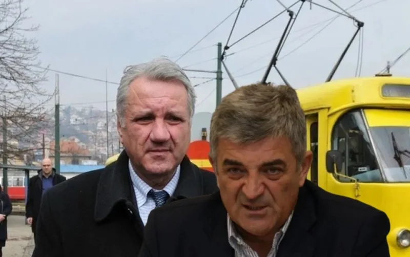 Gras vatric ajnadzic