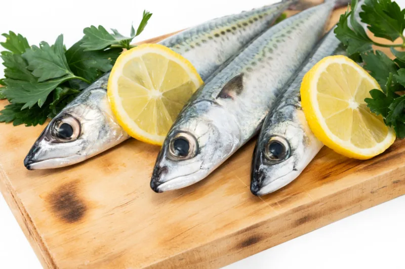 Sardine freepik