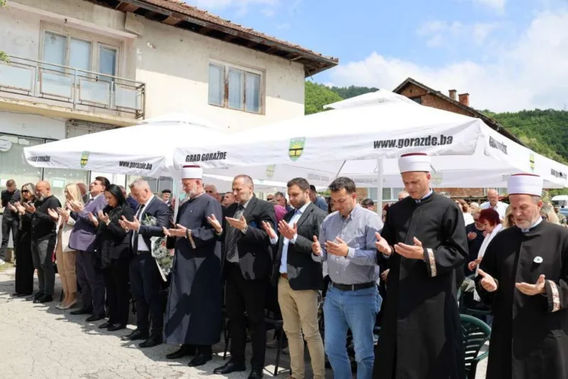 Lozje gorazde