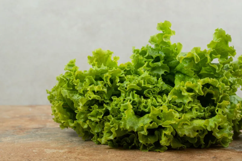 Zelena salata freepik