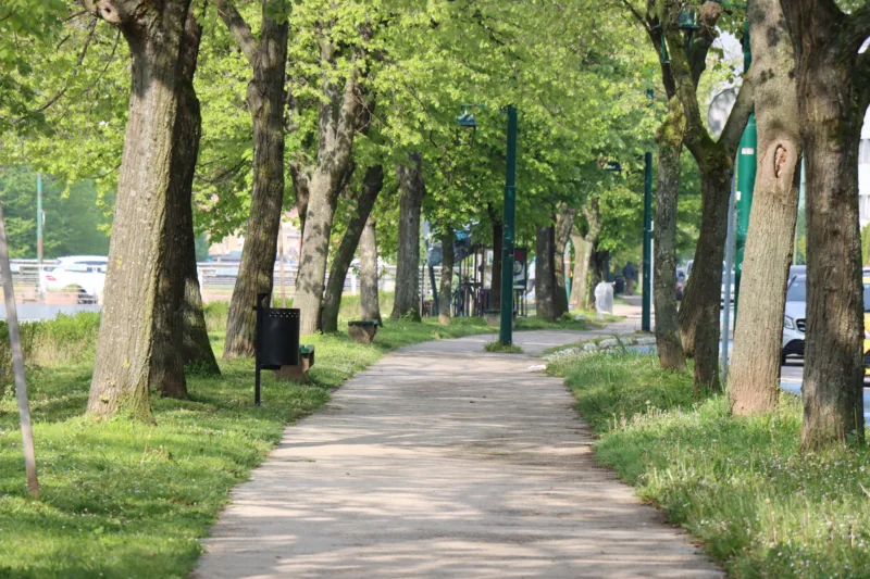Vilsonovo
