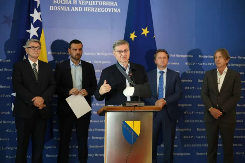 Zvizdic fena