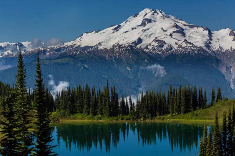 Mount Rainier freepik