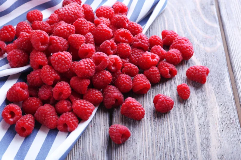 Maline freepik