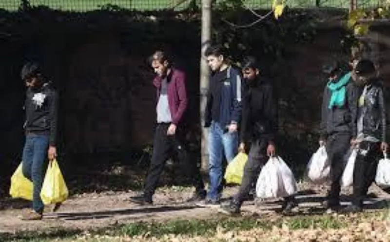 Migranti fena