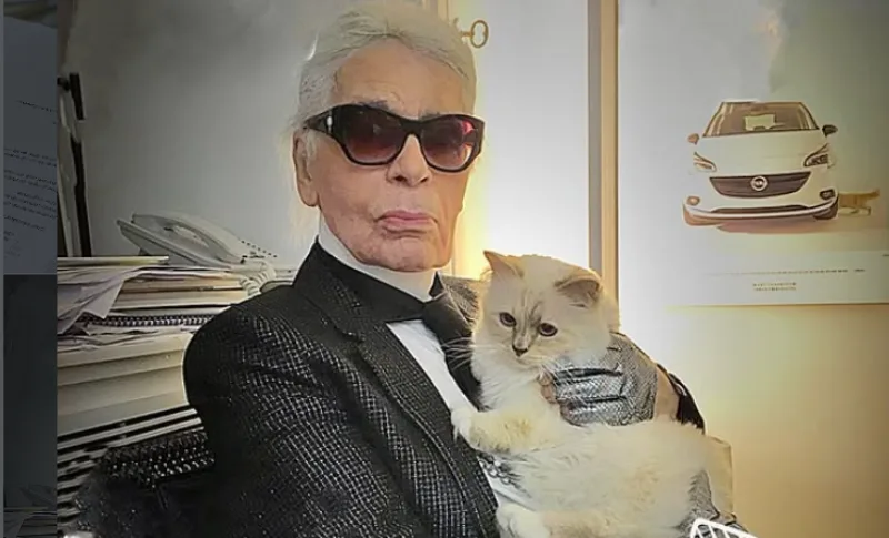 Choupette