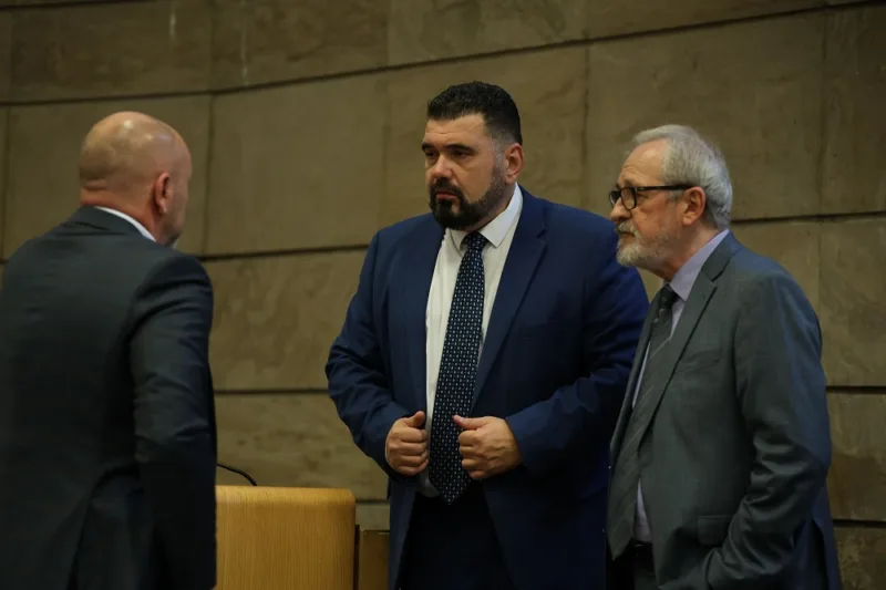 Predstavnicki dom pfbih fena 9